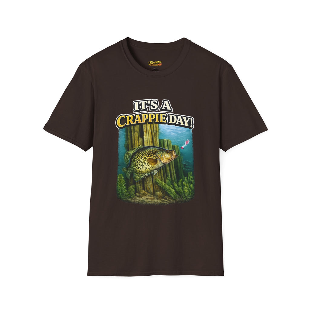 It's a Crappie Day! T-Shirt — Fishing Crappie Graphic Tee