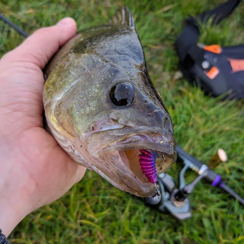 2023 Supercontinent worm bait soft bait Tanta 49mm 65mm fishing lures Pesca carp fishing bass lure Isca artificial PVA